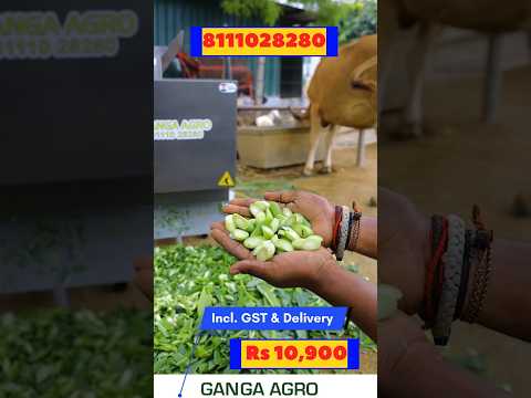 2 Hp Chaff Cutter Machine Price Under 15000