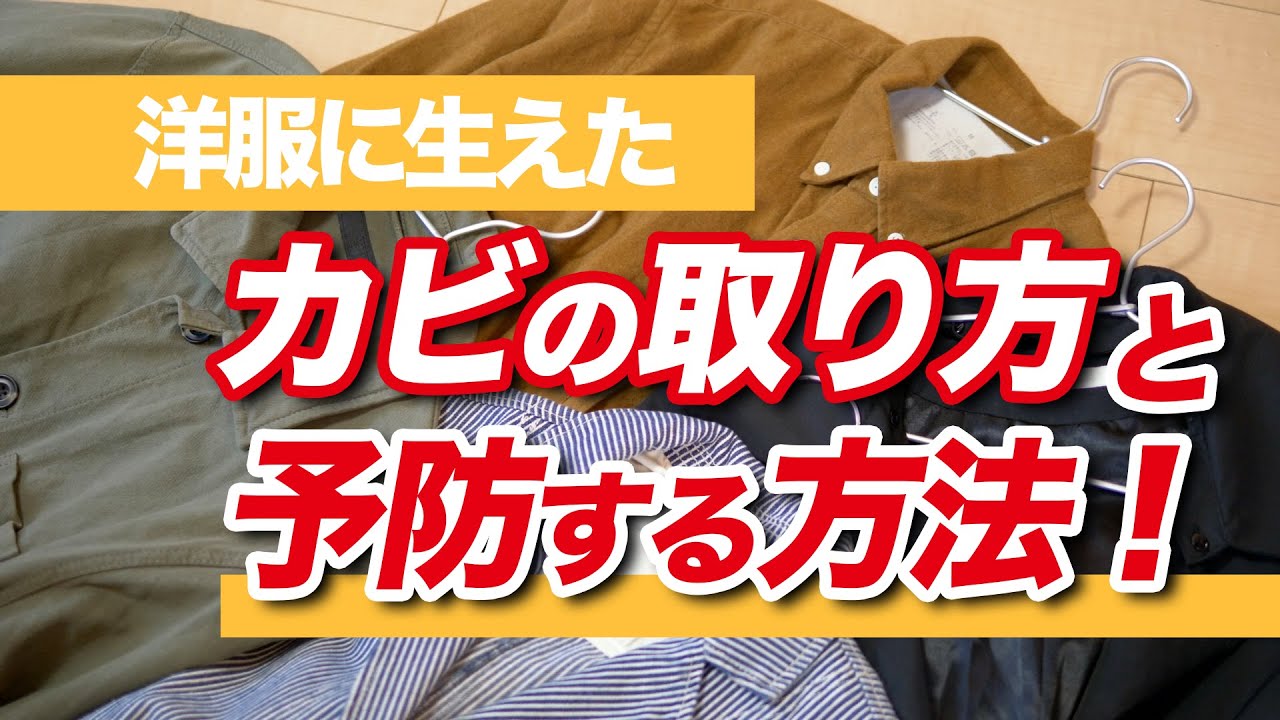 室内のカビ 掃除と予防法を徹底解説 コツは湿度 温度 栄養分 くらしのマーケットマガジン