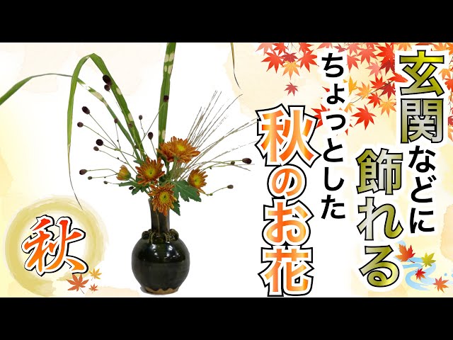 たった3本】〇〇で劇的に変わる！初心者でも簡単な秋のお花の飾り方