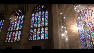 Mass Celebrated by Archbishop Vigneron for the Solemnity of Christ the King