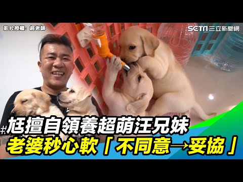 尪擅自領養超萌汪兄妹　老婆秒心軟「不同意→妥協」｜三立新聞網 SETN.com