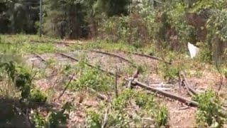 Abandoned industrial railroad track restored to operation  Taunton, MA  2023