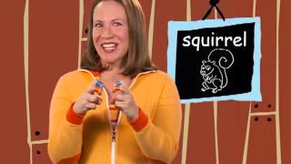 squirrel