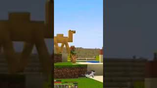 Minecraft Me Camel Aa Gya