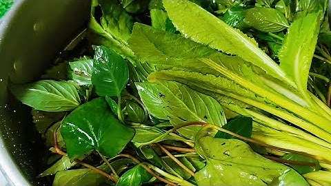 Đừng Cho Rau Vào Tủ Lạnh Nữa-Cách Bảo Quản Rau Tươi Lâu Cả Tuần Ko Tủ Lạnh 