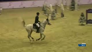 Jamie Gornall Christian 25 Sentower Park 2018