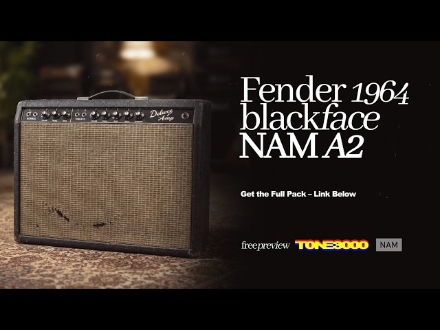 FENDER DELUXE REVERB 1964 BLACKFACE - NAM A2 CAPTURES PACK - YouTube