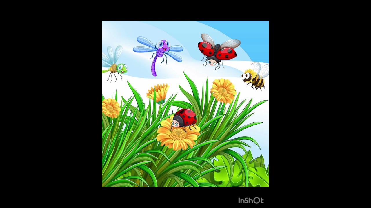 Розвиток мовлення та малювання. 