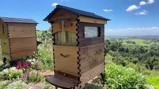 How to get started in beekeeping?