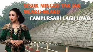 MLAKU-MLAKU NANG KUTHO PURWOREJO, LAGU JAWA CAMPUR SARI