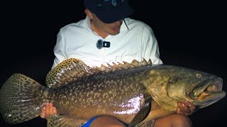 We Caught a HUGE Fish | Fishing For Giants