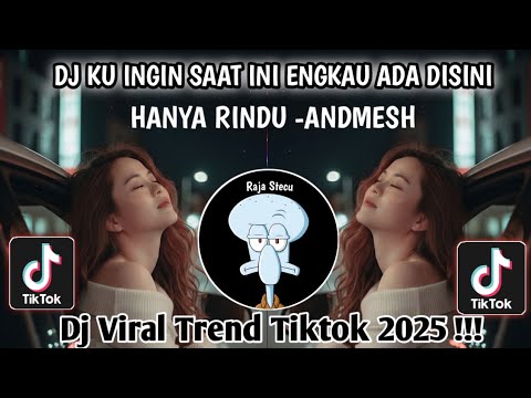 DJ KU INGIN SAAT INI ENGKAU ADA DISINI -ANDMESH HANYA RINDU/DJ VIRAL TIKTOK TERBARU SAAT INI 