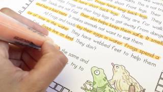 Grade 2 Differentiated Reading Comprehension Passages