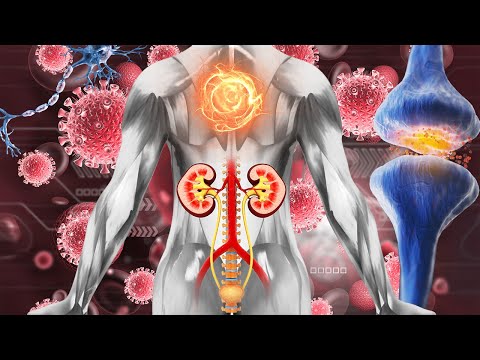 (WARNING:VERY POWERFUL!) Accelerated Kidney Healing - The Body Is Repair After 11 Minutes #1