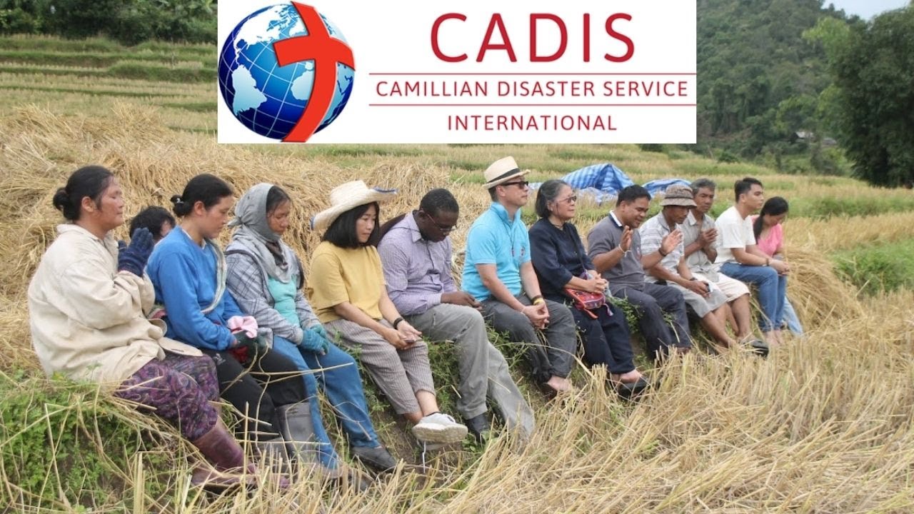 Cadis - Home