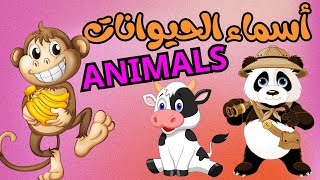 أسماء وأصوات الحيوانات | تعليم أسماء الحيوانات باللغة الإنجليزي للأطفال| حيوانات كيوت | animals