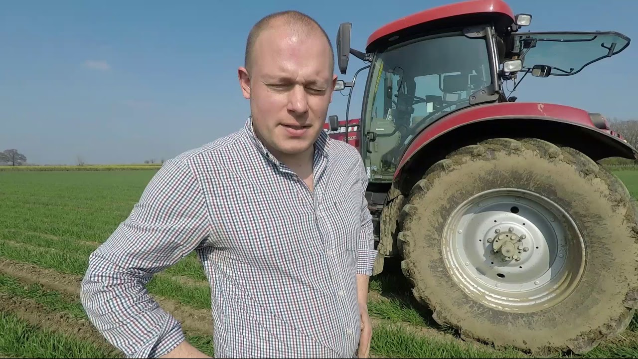 Inter Row Drilling - Companion crops into Wheat