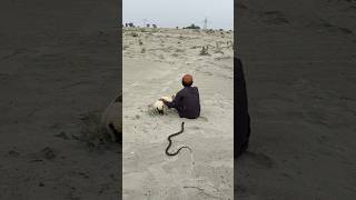 Download Lagu Iuall sheep ke pass piche nag A gea MP3