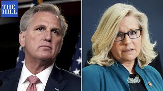 Celebrity Cheney Calls Out McCarthy, Fellow Republicans For Changing Tune On Trump After Jan. 6 Net Worth