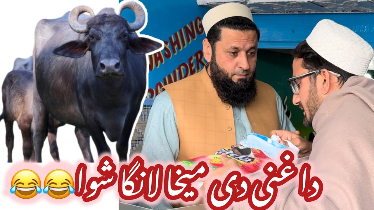 Ghani new funny video | Ghani khan vlogs | 