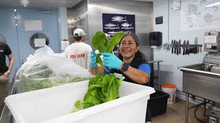 The Florida Aquariums 2023 Year In Review