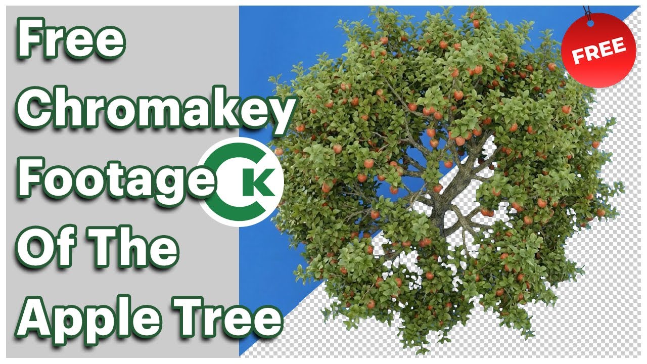Free Apple Tree Chroma Key Footage | Green Screen Tree