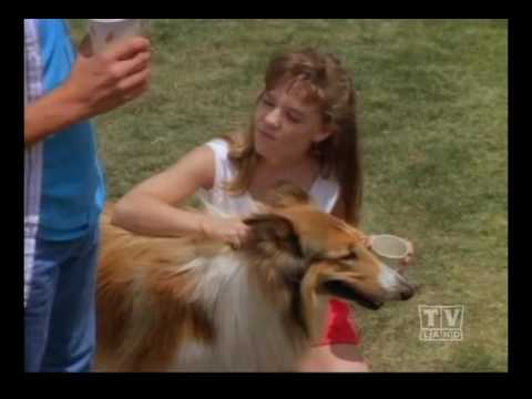 The New Lassie (Season 1 Eps.4) - YouTube