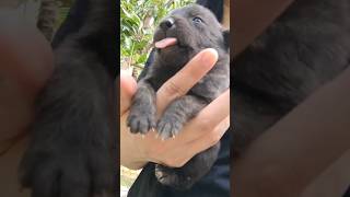 Download Lagu Home is where our story begins. Where are you from? MP3