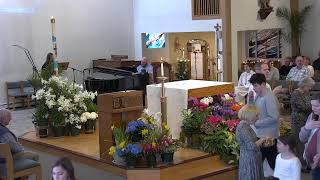 Catholic Mass from Christ the King | Sunday, April 12, 2026 1130am