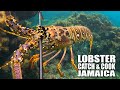 JAMAICAN FOOD!! Pimento Smoked Lobster (catch & cook)