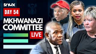 Mkhwanazi Ad Hoc Committee Discusses Next Witnesses