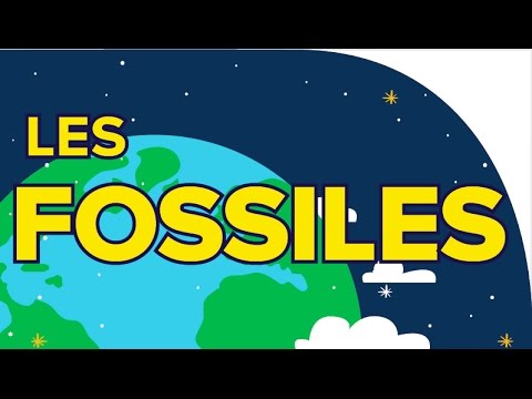 Qu&#039;est-ce qu&#039;un Fossile ?-SVT-Mathrix