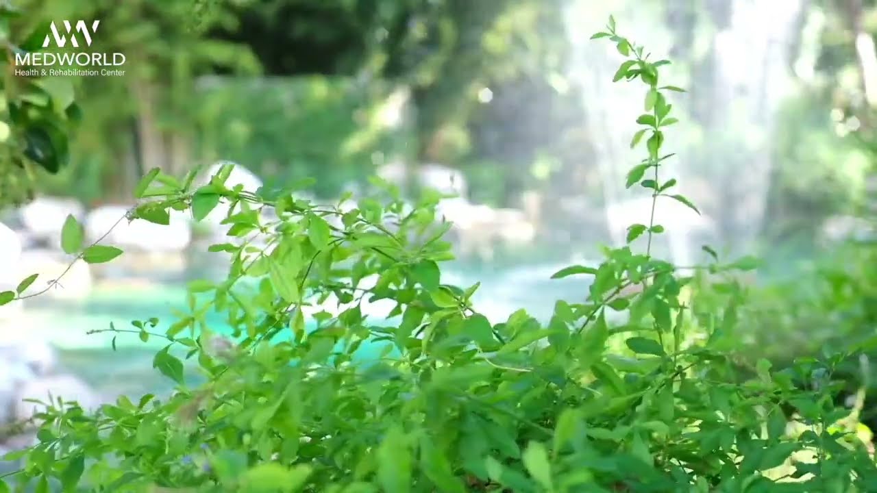 Day Detox Juice Fasting Cleanse​