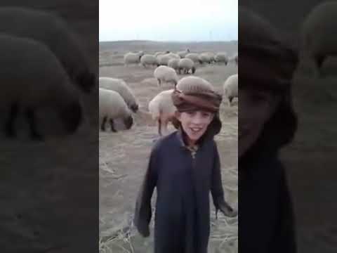 الله مصلي على محمد وال محمد حسين العدواني