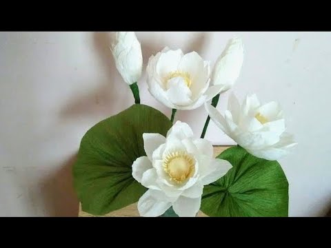 Video Cách làm hoa sen bằng giấy nhún đơn giản và đẹp - youtube
