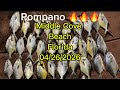 35 POMPANO in ONE Trip!! 🔥 Beach Catch &amp; Cook (Florida Surf Fishing)