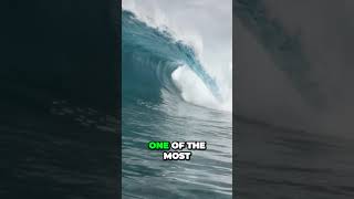 Unleash Your Adventurous Spirit In Oahus Perfect Surfing Paradise