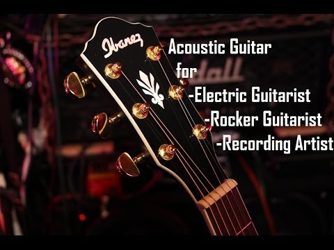 Ibanez Acoustic Guitar : AEG240 w Fishman &amp; USB
