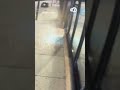 Chicago police investigating break-in at Manny's Deli