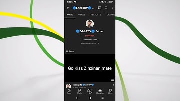 (My 1st Video of 2022) I found one of Zinzin Animate