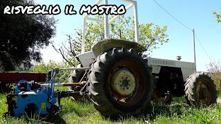 NUOVO ACQUISTO PER IL LAMBORGHINI R-704, IL RISVEGLIO DEL MOSTRO!