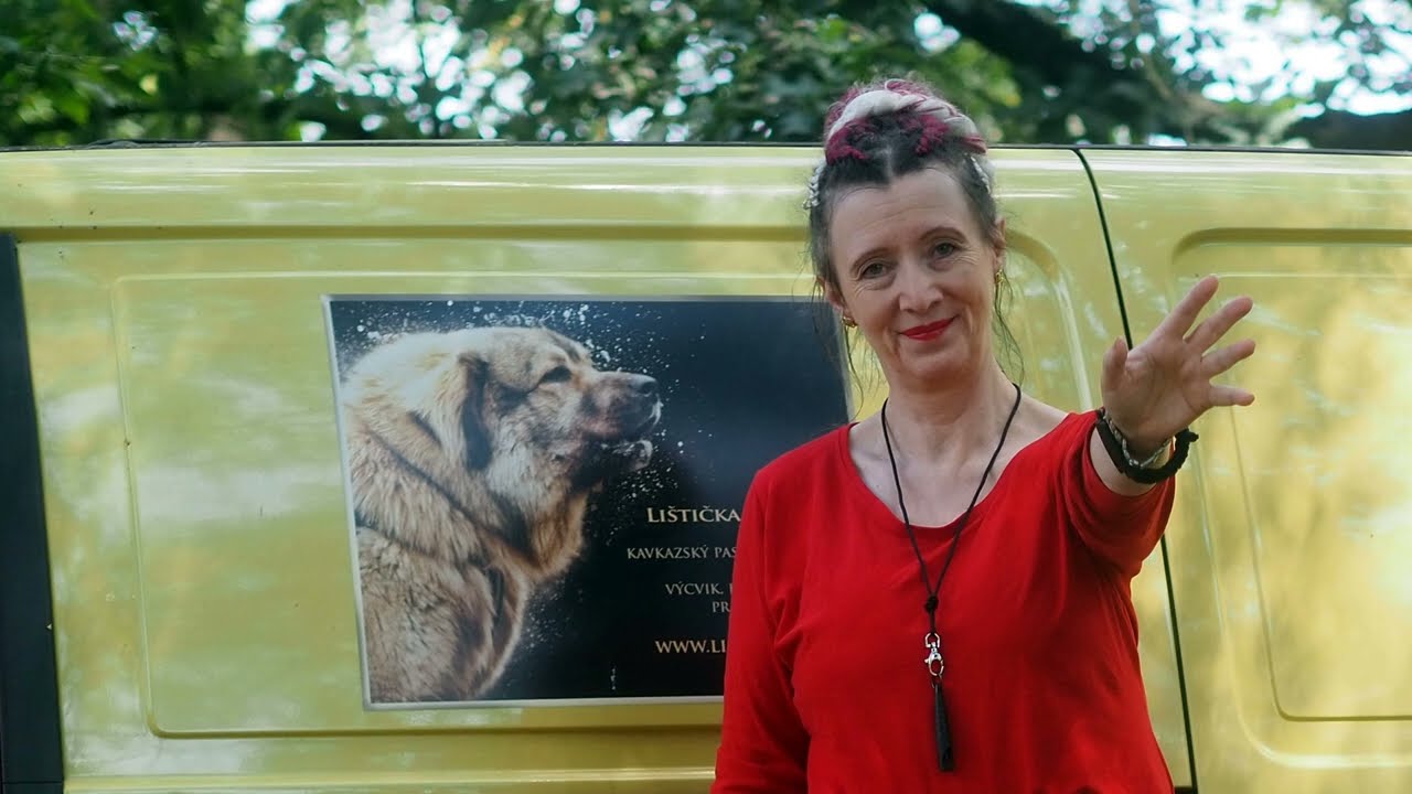 Lištička K9 CCOC Consulting. Rewards