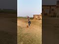 Yorker bowling practice 🏏🥎 #cricketnews #cricket #cricketlover #cricketfans #cricketshorts