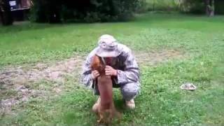 Soldier Dog Reunion Part 1