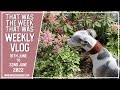 Weekly Vlog - June 2022 - WK#25