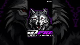 Auo Merapat Malang Bolo