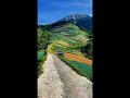RURAL MOUNT SUMBING