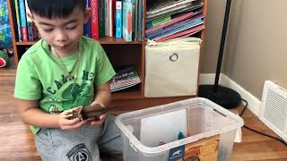 Unbox Mega Dino Tub 45 pieces Animal Planet, Rainbow Dinosaurs and a paint turtle 🐢🦕🦖 #dinosaur