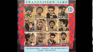 Transvision Vamp - I Just Wanna B With U (Nightripper Mix)