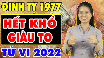 Xem Tử Vi Tuổi Đinh Tỵ 1977 Năm 2022 Khổ Trước Sướng Sau, GIÀU CÓ HẾT NẤC, Trở Thành Đại Gia
